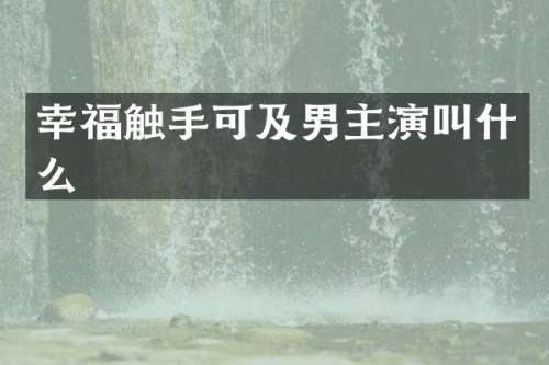 幸福触手可及男主演叫什么