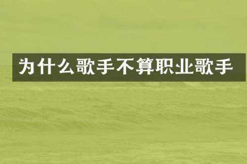 为什么歌手不算职业歌手