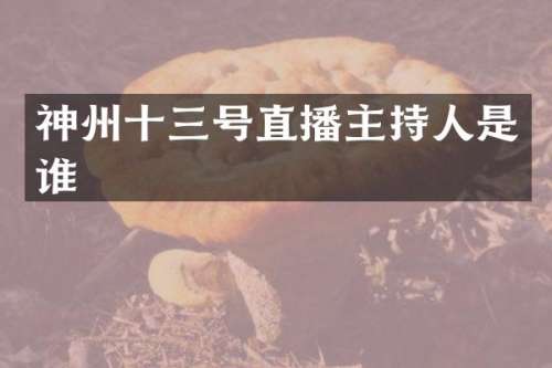 神州十三号直播主持人是谁