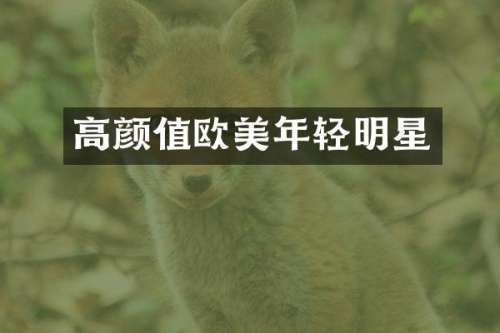 高颜值欧美年轻明星