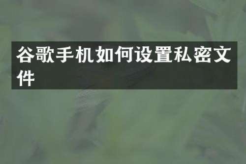 谷歌手机如何设置私密文件