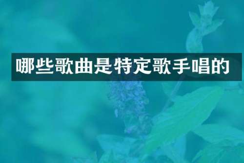 哪些歌曲是特定歌手唱的