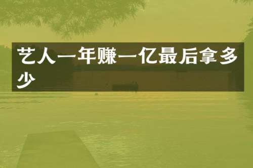 艺人一年赚一亿最后拿多少