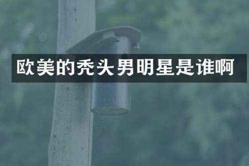 欧美的秃头男明星是谁啊