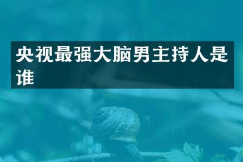 央视最强大脑男主持人是谁