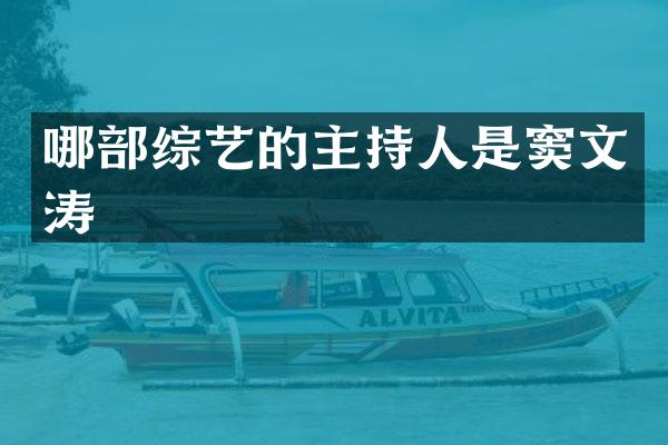 哪部综艺的主持人是窦文涛