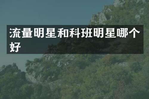 流量明星和科班明星哪个好
