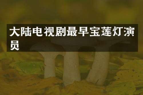 大陆电视剧最早宝莲灯演员