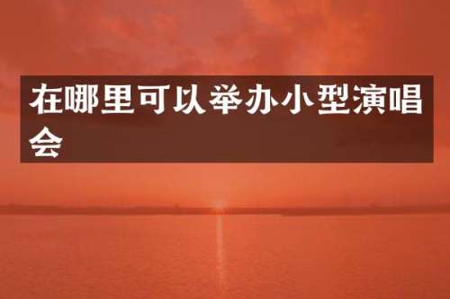 在哪里可以举办小型演唱会