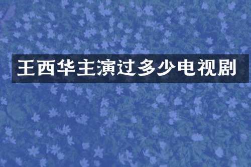 王西华主演过多少电视剧