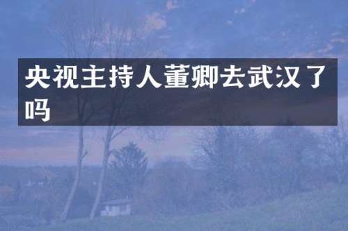 央视主持人董卿去武汉了吗