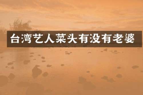台湾艺人菜头有没有老婆
