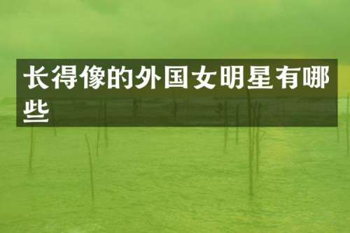 长得像的外国女明星有哪些