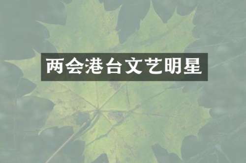 两会港台文艺明星