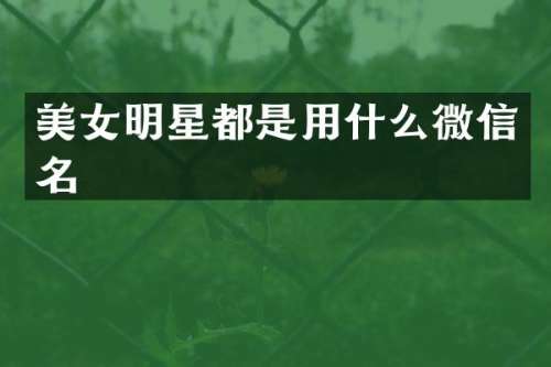 明星都是用什么微信名