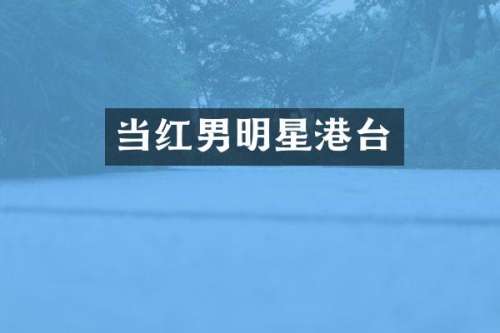 当红男明星港台