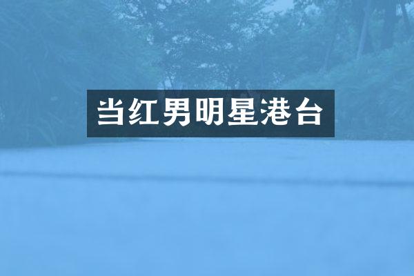 当红男明星港台