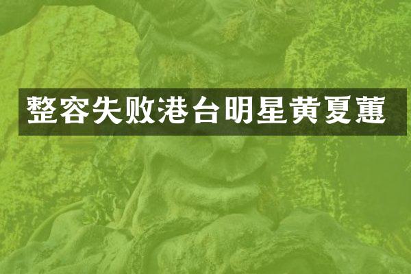 整容失败港台明星黄夏蕙