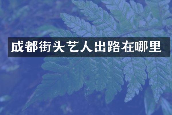 成都街头艺人出路在哪里