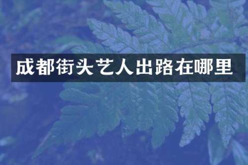 成都街头艺人出路在哪里