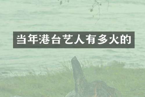 当年港台艺人有多火的
