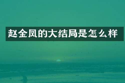 赵金凤的大结局是怎么样