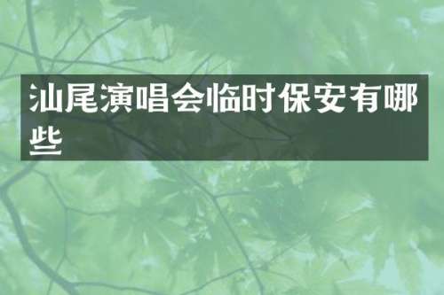 汕尾演唱会临时保安有哪些