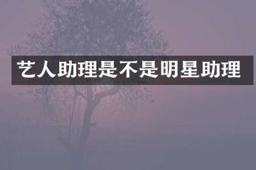 艺人助理是不是明星助理