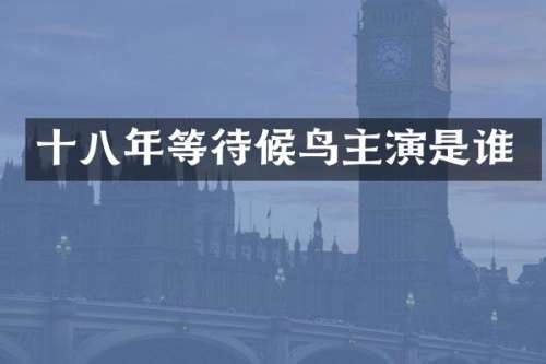 十八年等待候鸟主演是谁
