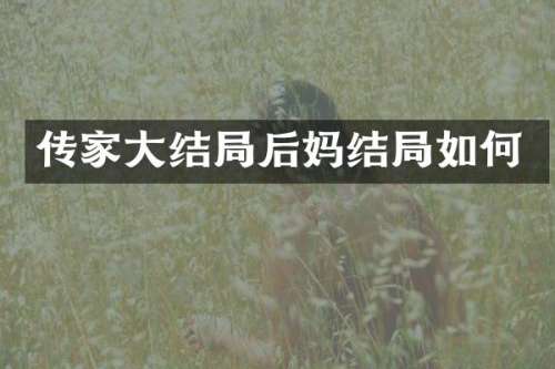 传家大结局结局如何