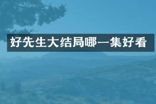 好先生大结局哪一集好看