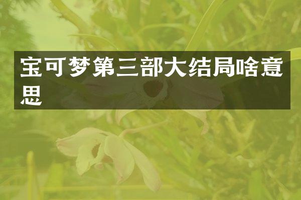宝可梦第三部大结局啥意思