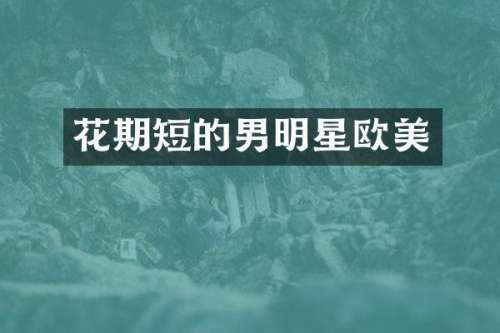 花期短的男明星欧美