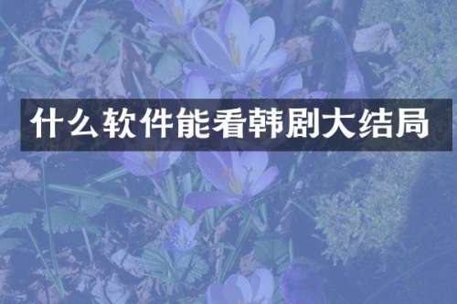 什么软件能看韩剧大结局