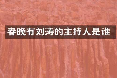 有刘涛的主持人是谁