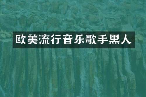 欧美流行音乐歌手黑人