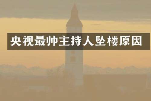央视最帅主持人坠楼原因
