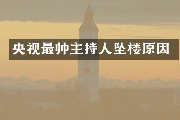 央视最帅主持人坠楼原因