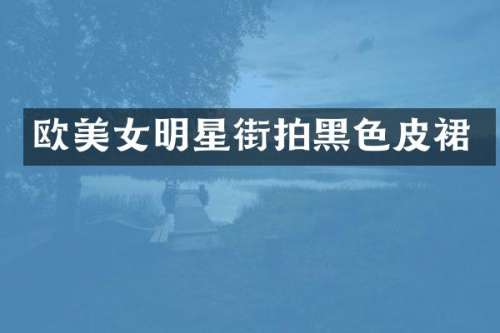 欧明星街拍黑色皮裙