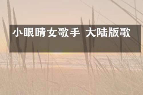 小眼睛女歌手 大陆版歌曲
