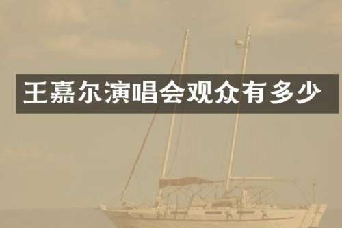 王嘉尔演唱会观众有多少
