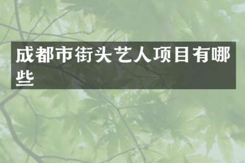 成都市街头艺人项目有哪些