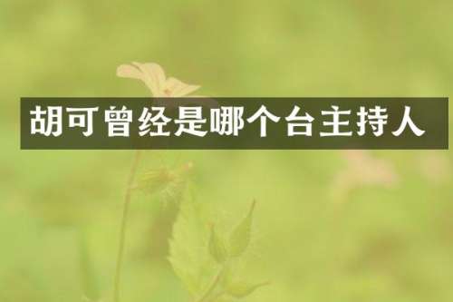 胡可曾经是哪个台主持人