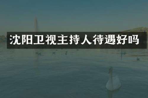 沈阳卫视主持人待遇好吗