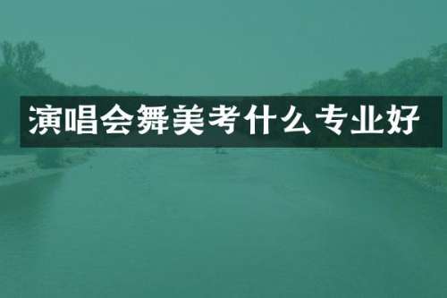 演唱会舞美考什么专业好