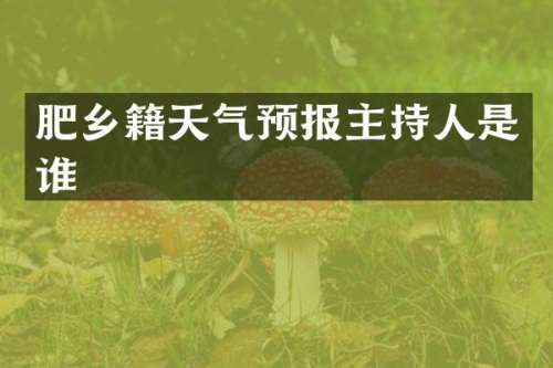 肥乡籍天气预报主持人是谁
