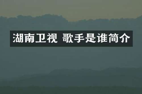 湖南卫视 歌手是谁简介
