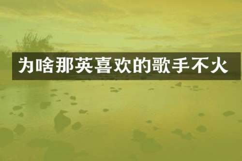 为啥那英喜欢的歌手不火