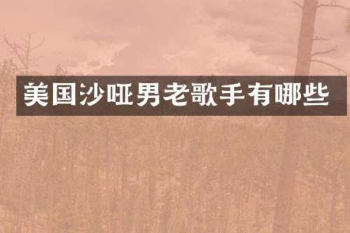 美国沙哑男老歌手有哪些