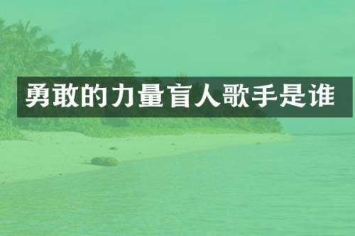 勇敢的力量盲人歌手是谁